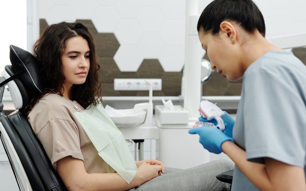 A female dentist showing a dental model to a patient during a consultation in a modern office.