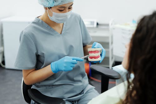 Free Woman in Blue Scrub Suit Holding Teeth Model Stock Photo