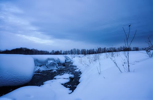 Foto profissional grátis de enseada, inverno, neve