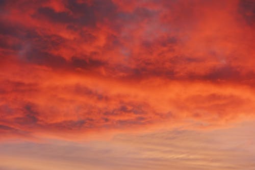 Free Cumulus Clouds Stock Photo