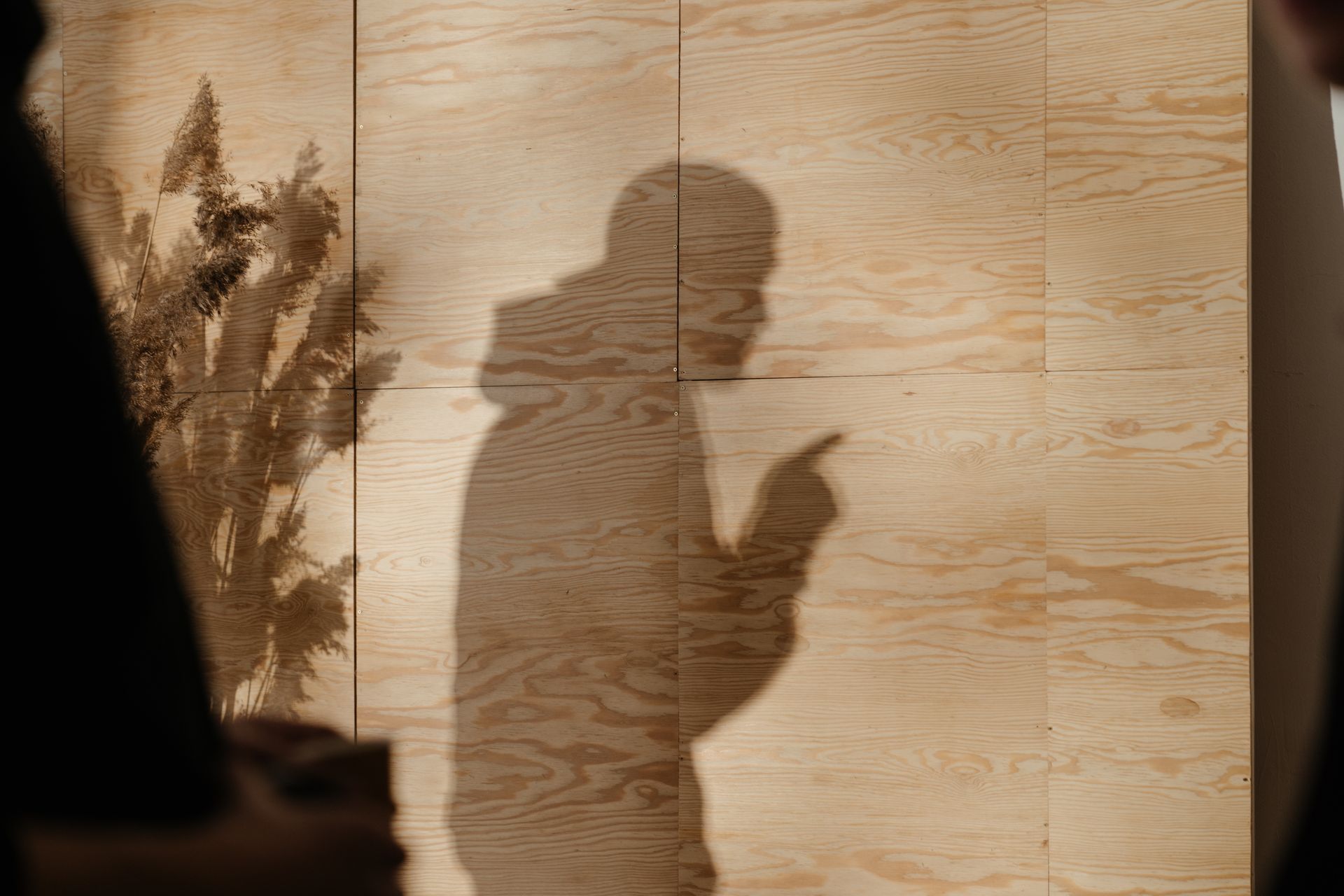 Artistic shadow silhouette of a person on a wooden background with dried flowers.