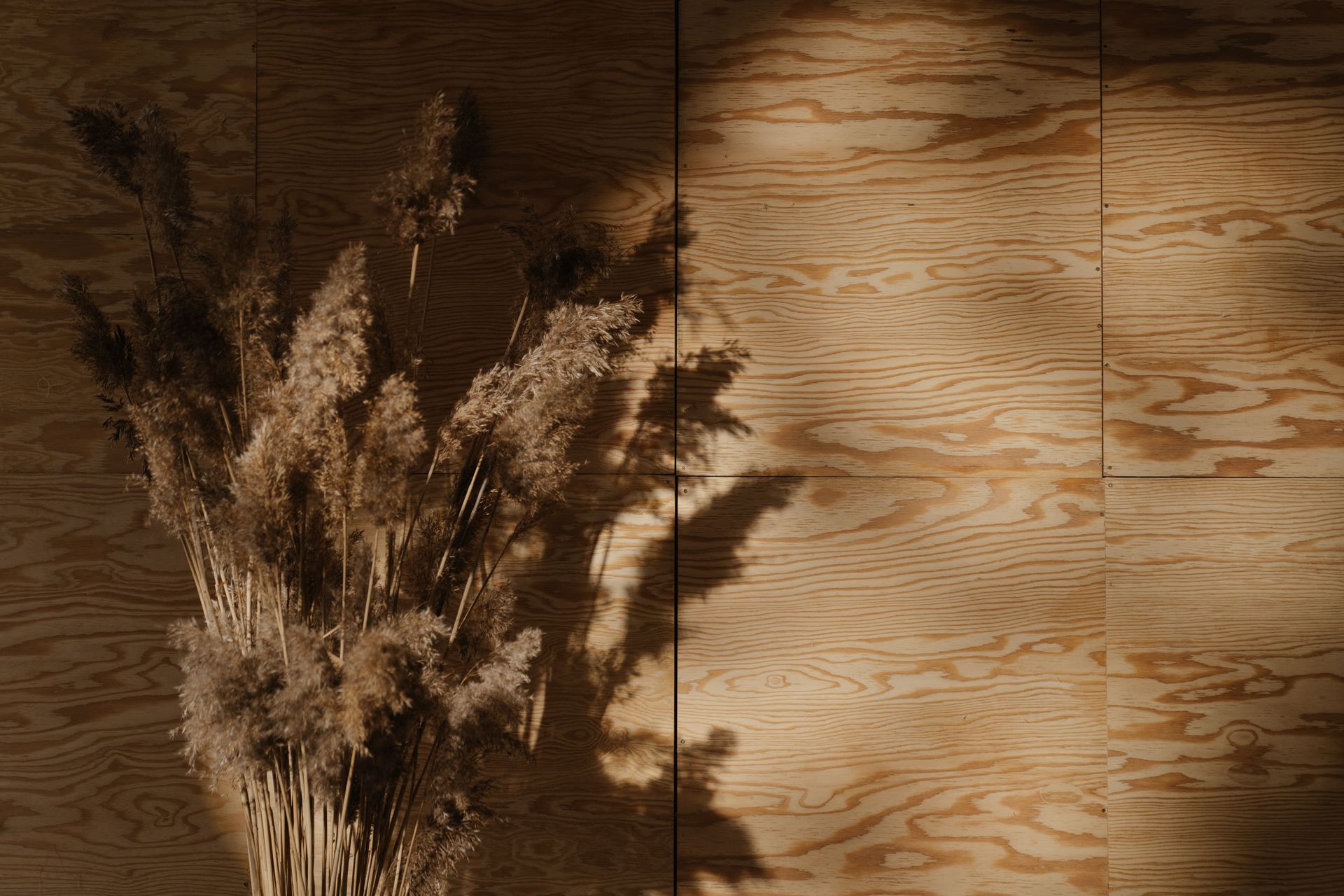 Minimalist still life of dried pampas grass with natural wood texture background, evoking earthy elegance.