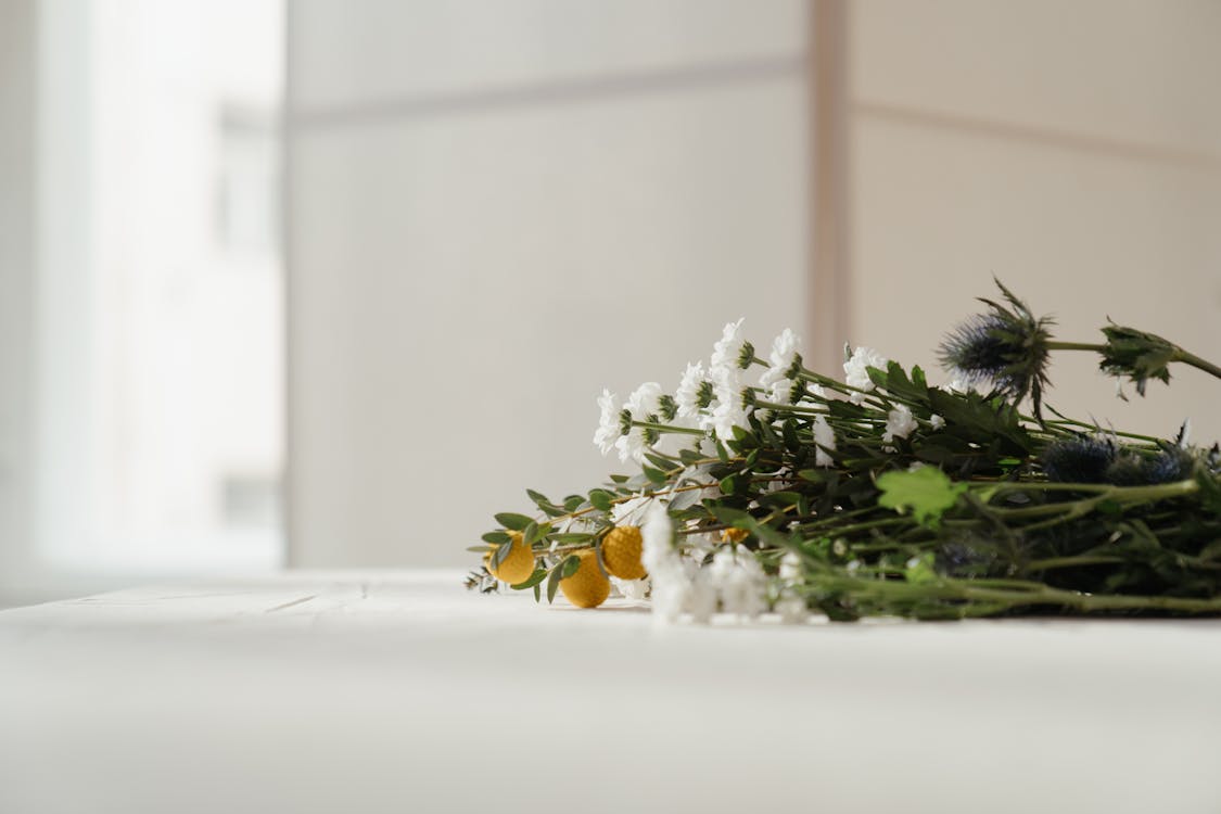 White and Green Plant on White Table