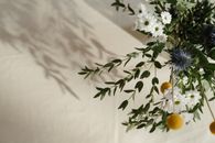 这束美丽的花以白雏菊、蓝蓟、桉树叶和凤尾鱼为特色