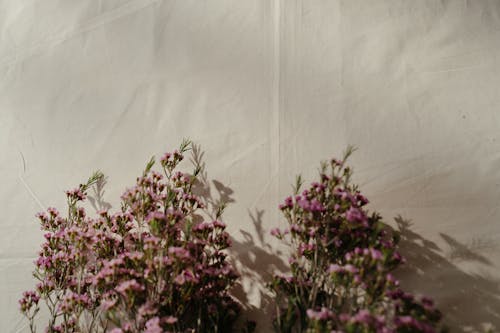 Pink and Green Flower on White Textile