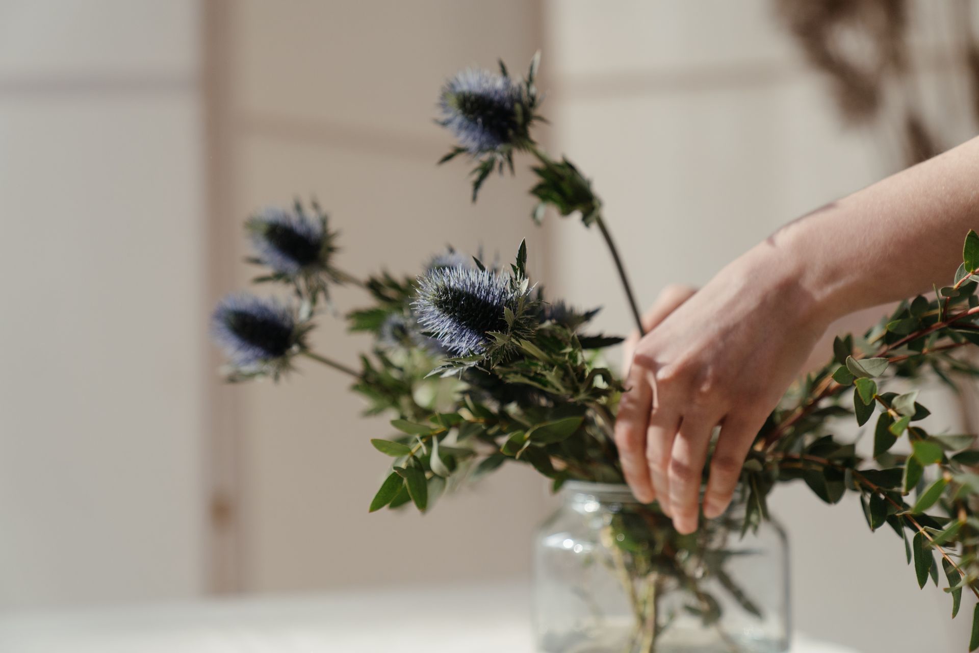 Person Holding Purple Flower in Clear Glass Vase