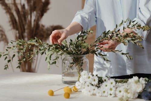 Person Holding Green and Pink Flower Bouquet