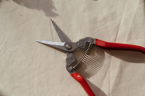 Free Detailed view of pruning shears on fabric surface, ideal for gardening projects. Stock Photo