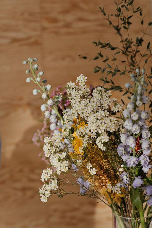 White and Yellow Flowers on Brown Sand