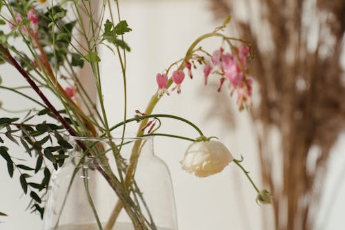 Gratuit Photos gratuites de belle fleur, bocal en verre, bouquet Photos
