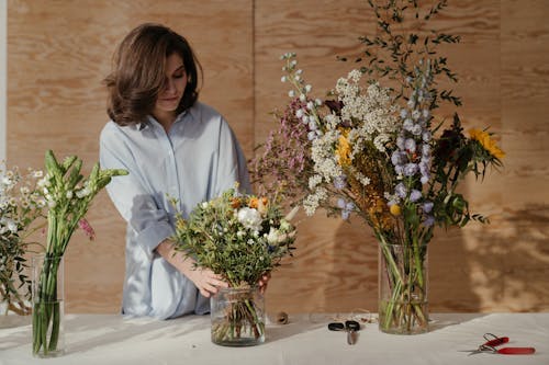 Základová fotografie zdarma na téma bylinka, bylinky, delphinium