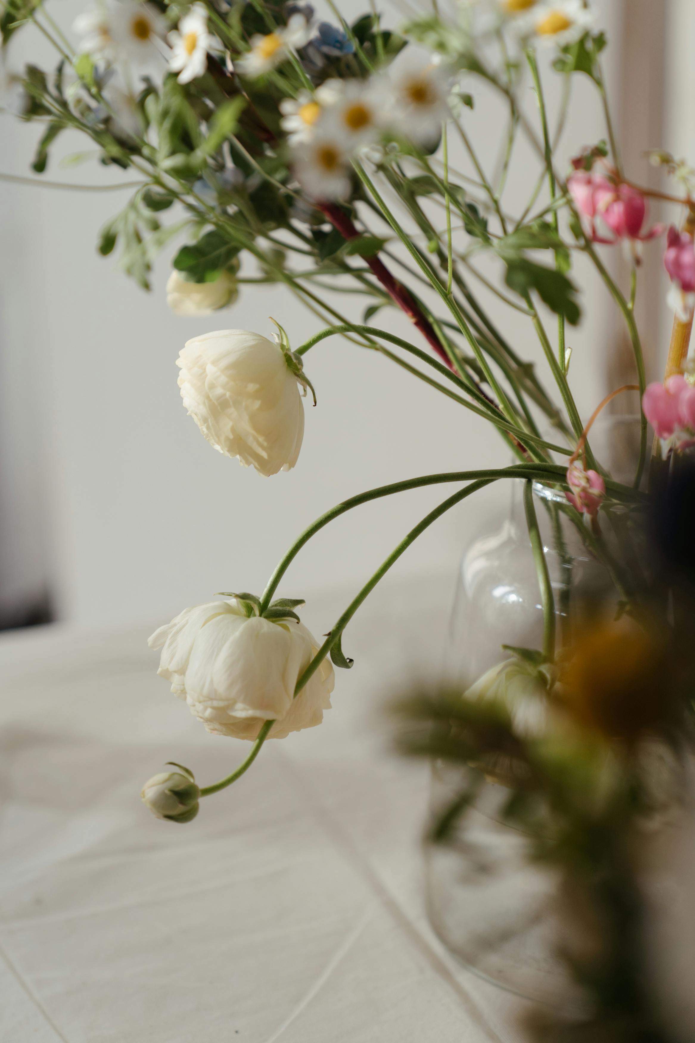 White Flowers in Close Up Photography · Free Stock Photo