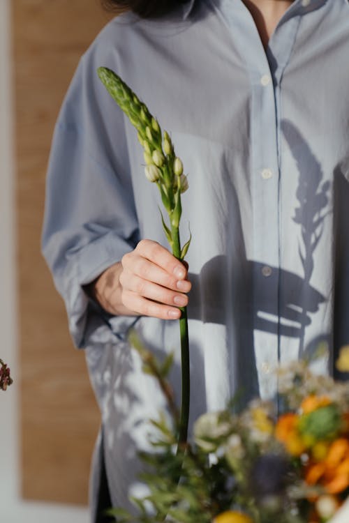 Person in Blue Dress Shirt Holding Yellow Flower