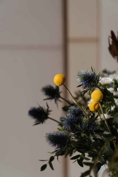 Yellow Flowers With Green Leaves