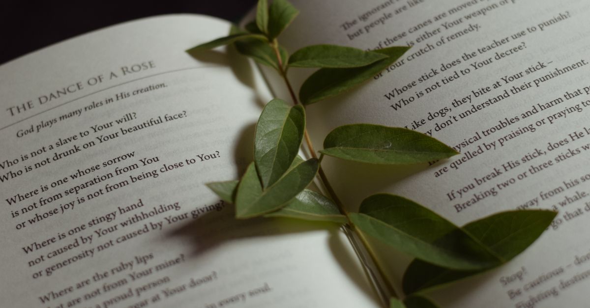 The 12 Most Translated Poets in History The 12 Most Translated Poets in History