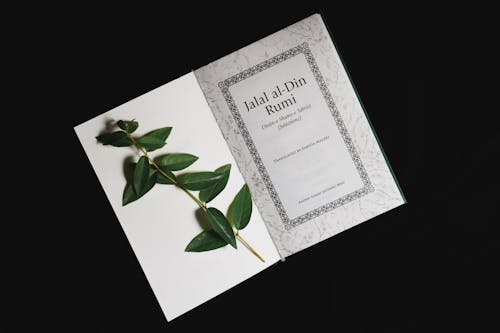 Stem of green leaves on book page