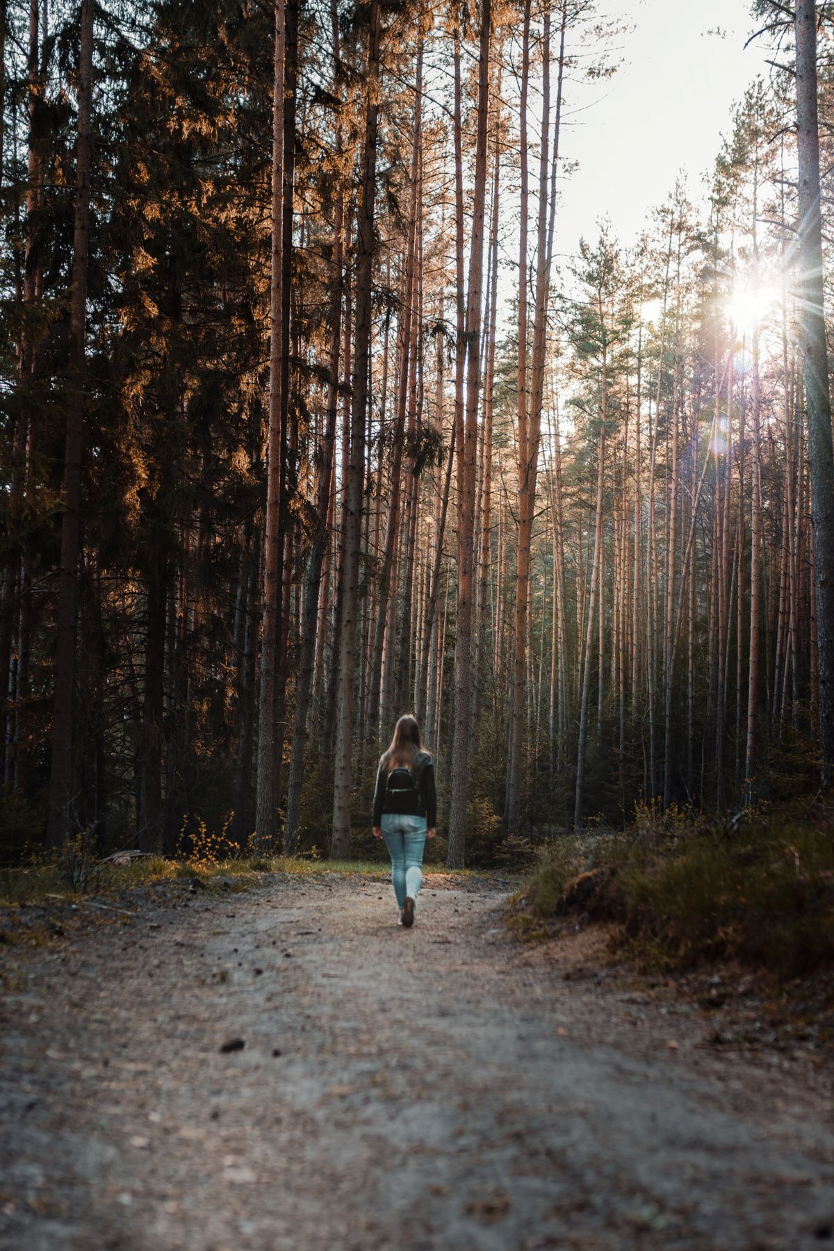 Woman walking along a sunlit forest trail