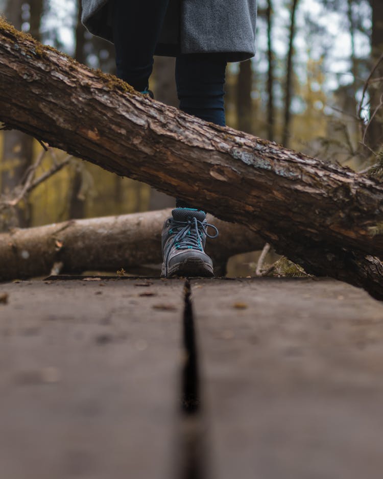 Person Stepping Over Wooden Log