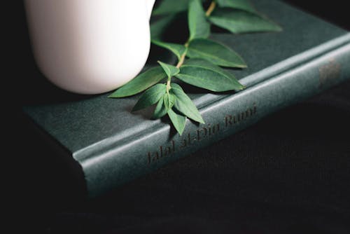 Composition of teapot and plant twig on book