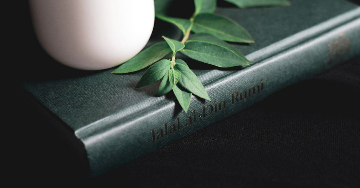 A serene composition featuring a cup, Rumi's book, and greenery on a dark surface.