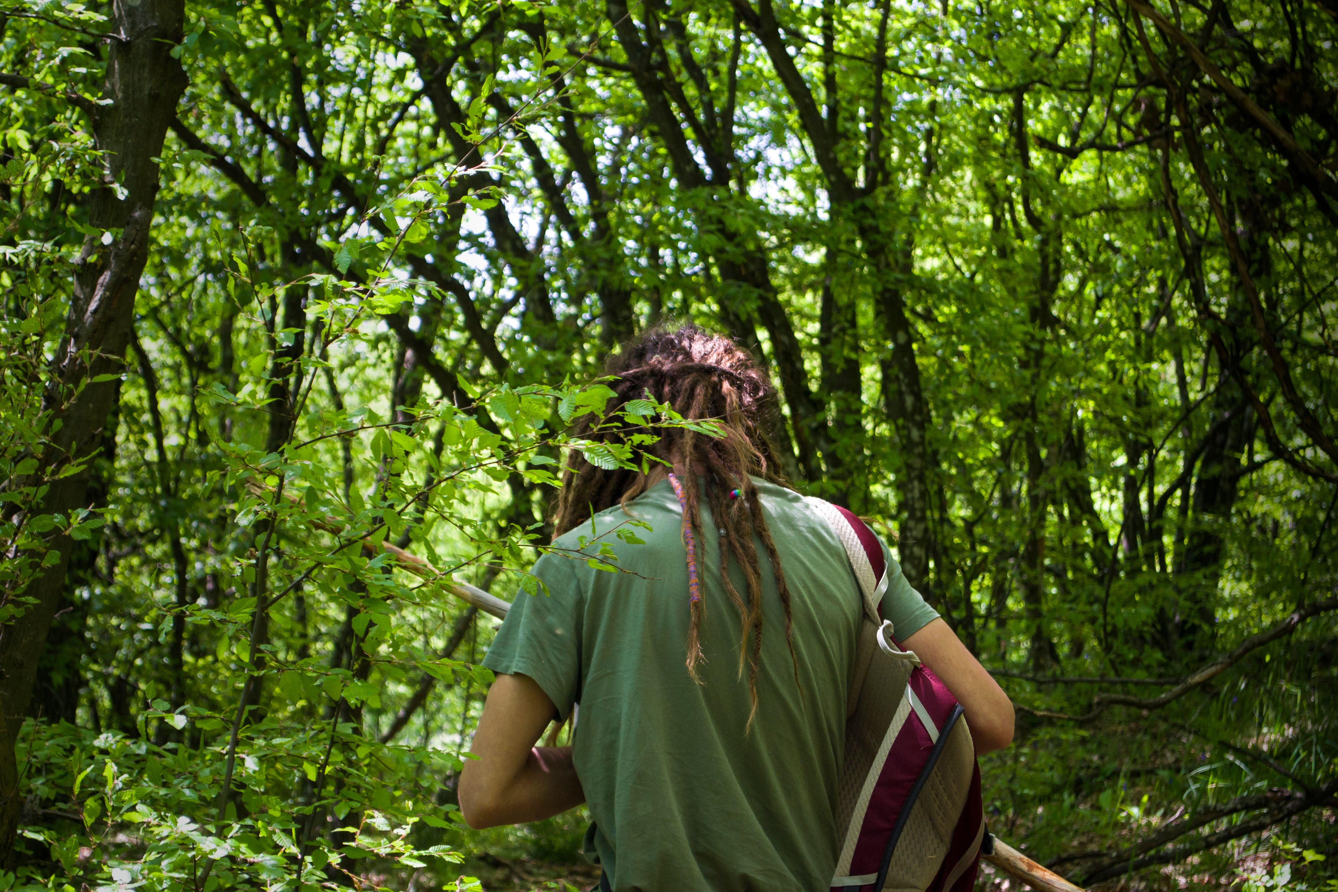 A Man Wearing a Backpack Walking in the Woods · Free Stock Photo