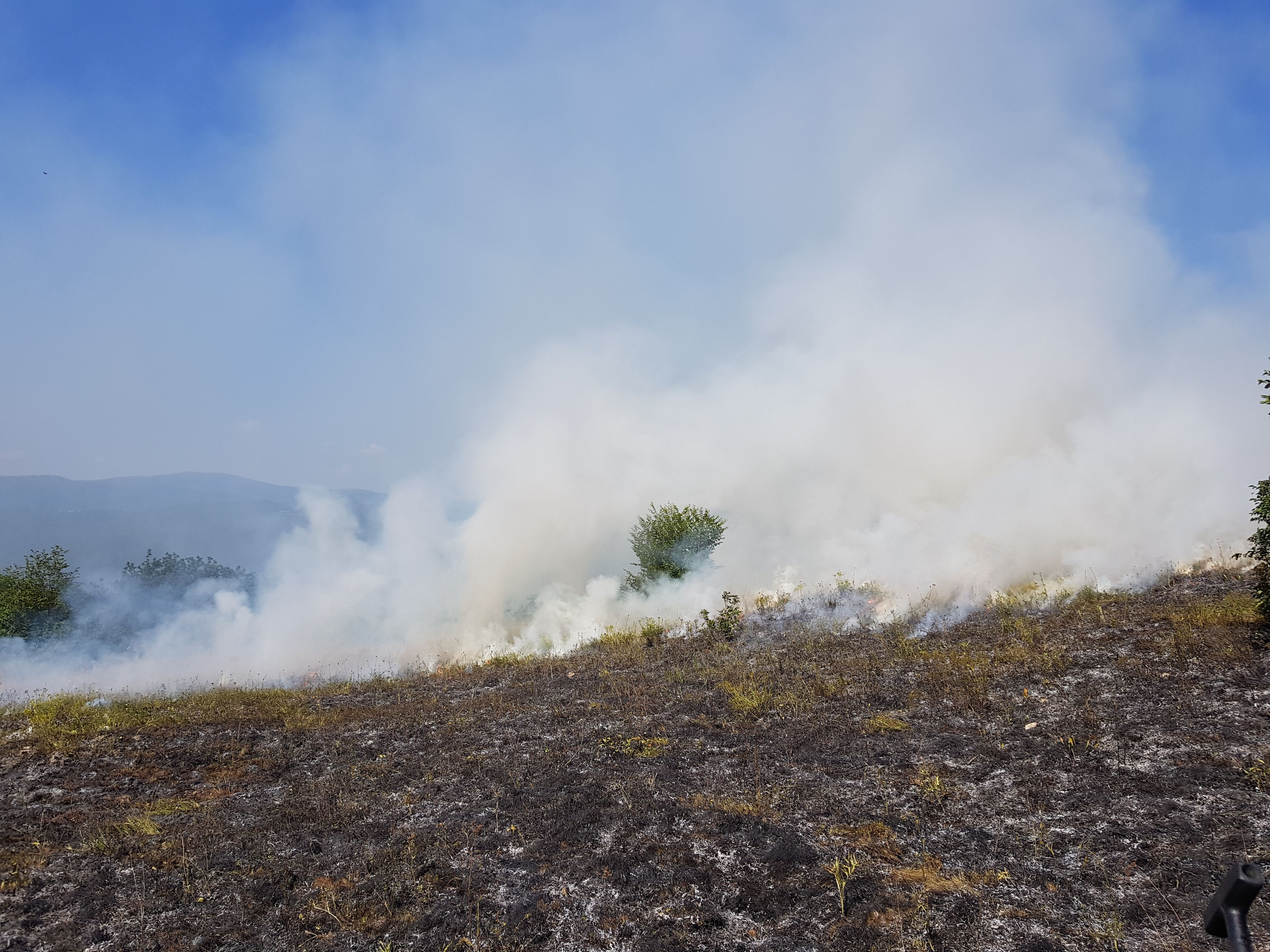 A barren field with smoke clouds rising after a grass fire, with charred ground and sparse trees