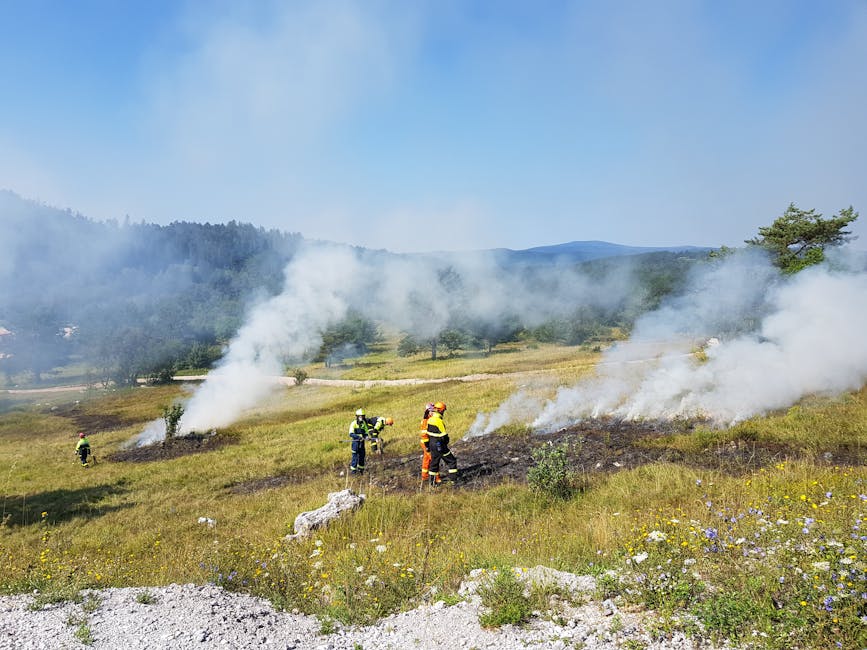 Small Ontario Fire Departments Near Thunder Bay Get Wildfire-Fighting Gear Boost