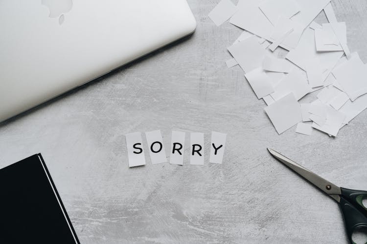 Sorry Text In Pieces Of White Paper