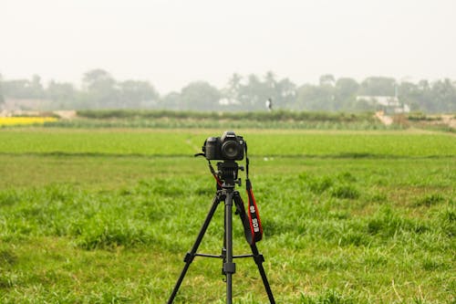 Modern photo camera placed on tripod on grassy meadow in summer countryside