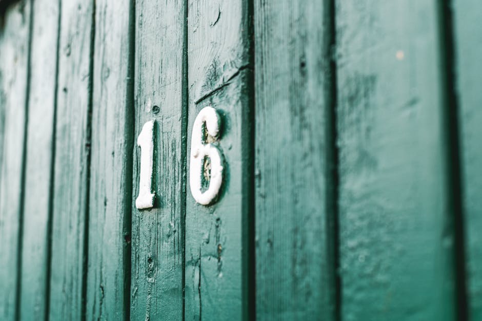 Close-up of a rustic green wooden wall with the white number 16 painted on it