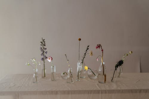 Photo of Flowers in Glass Vase With Water