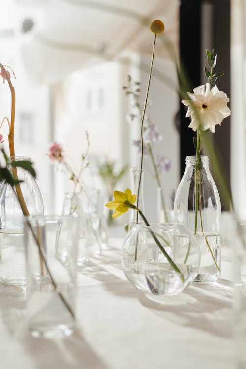 Flowers in Clear Glass Vase With Water