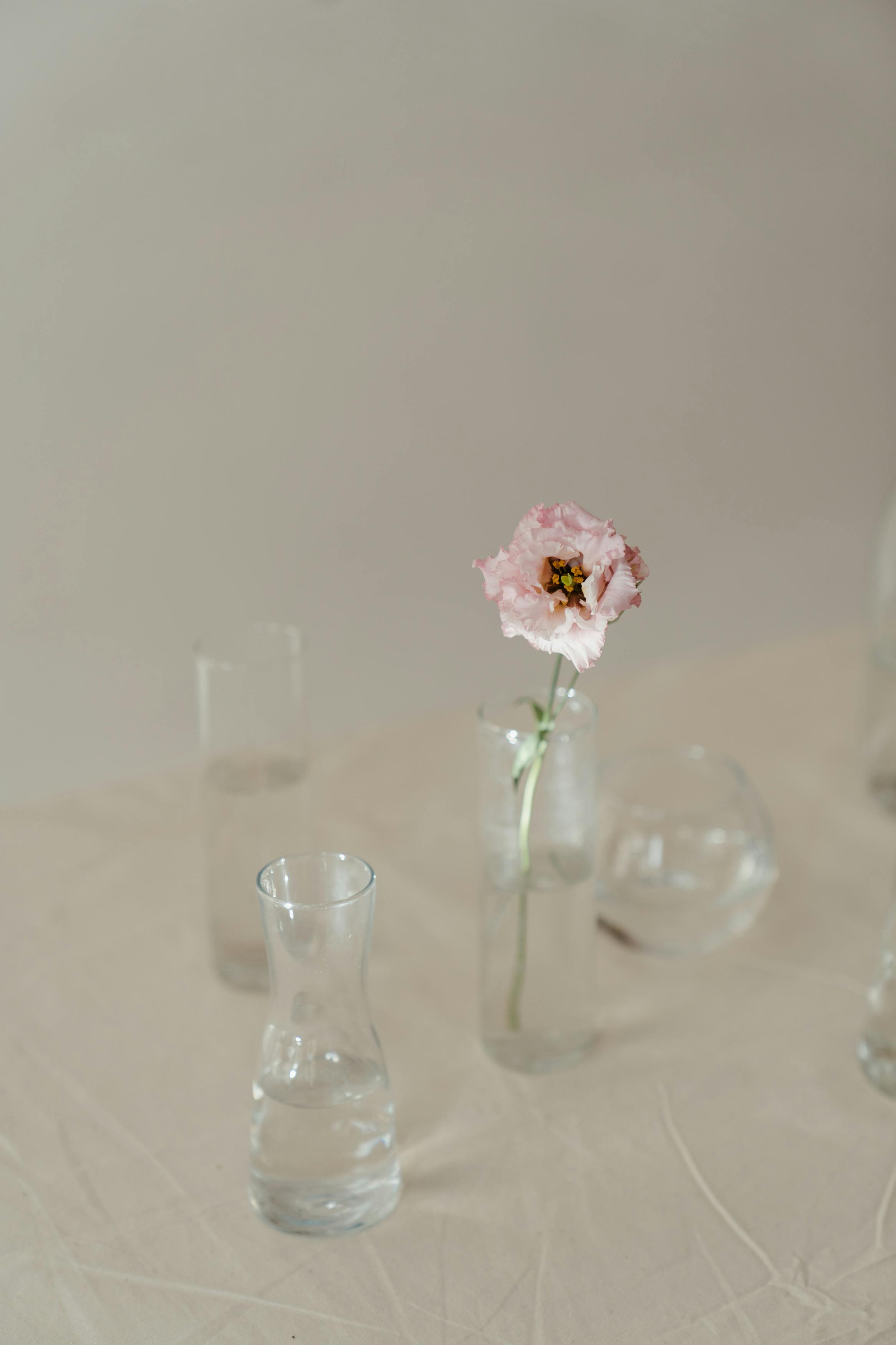 A single pink eustoma flower in a glass vase, set against a soft background for a minimalist and elegant look.