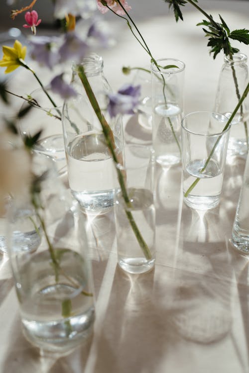 Purple and White Flowers in Clear Glass Vase