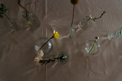 Top View Photo of Flowers on Glass Vase