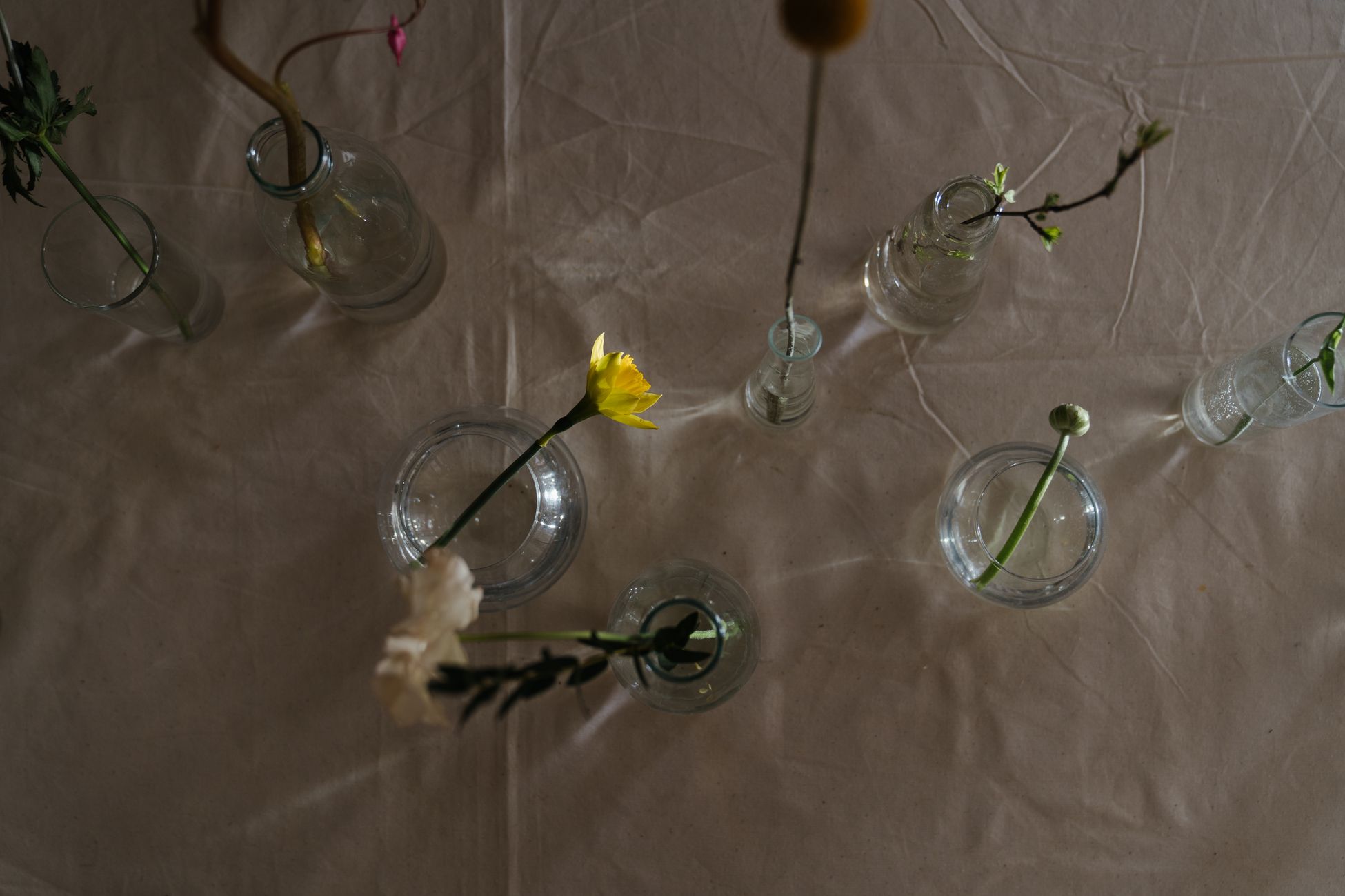 A serene from above shot of various flowers arranged in glass vases on a table.