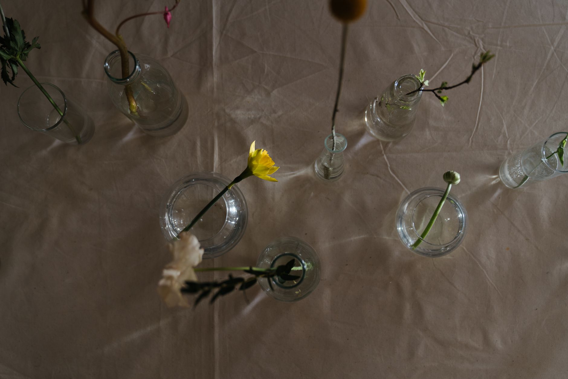 A serene from above shot of various flowers arranged in glass vases on a table.