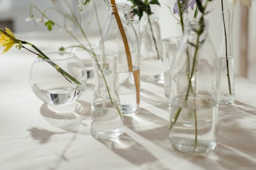 Photo of Flowers in Glass Vase With Water