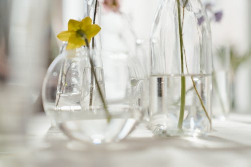 Yellow Flower in Clear Glass Vase