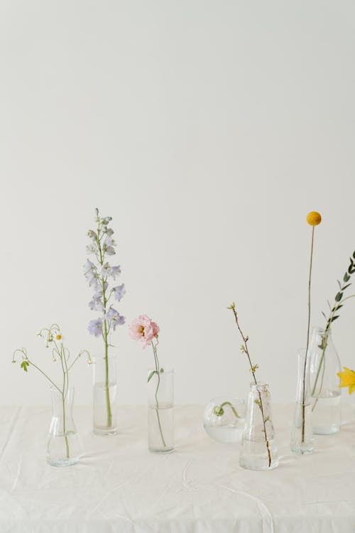 Gratis lagerfoto af blomster, blomster i vase, blomsterblad Lagerfoto
