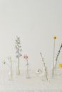 Photo of Flowers in Clear Glass Vase