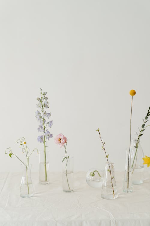 Photo of Flowers in Clear Glass Vase