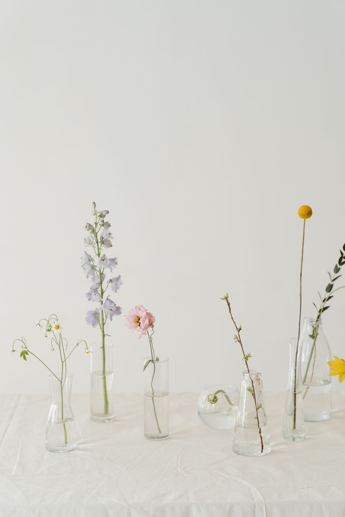 Glass Flower Vase