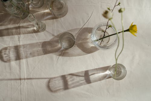 ガラス, ガラス花瓶, つぼみの無料の写真素材