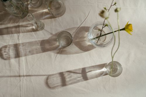 Free Artistic flat lay of clear vases with a single daffodil casting shadows on a white surface. Stock Photo
