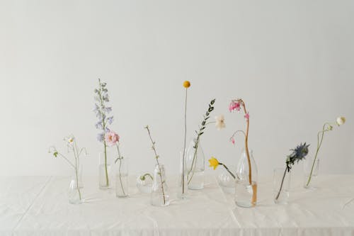 dicentra spectabili, ガラス, ガラス花瓶の無料の写真素材