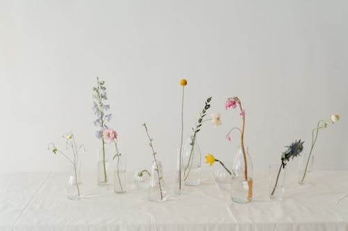 Photo of Flowers in Clear Glass Vase With Water