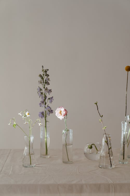 Gratis lagerfoto af blomster, blomster i vase, blomsterblad Lagerfoto