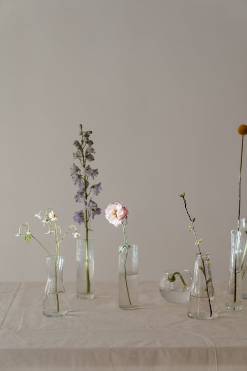 Photo of Flowers in Clear Glass Vase With Water