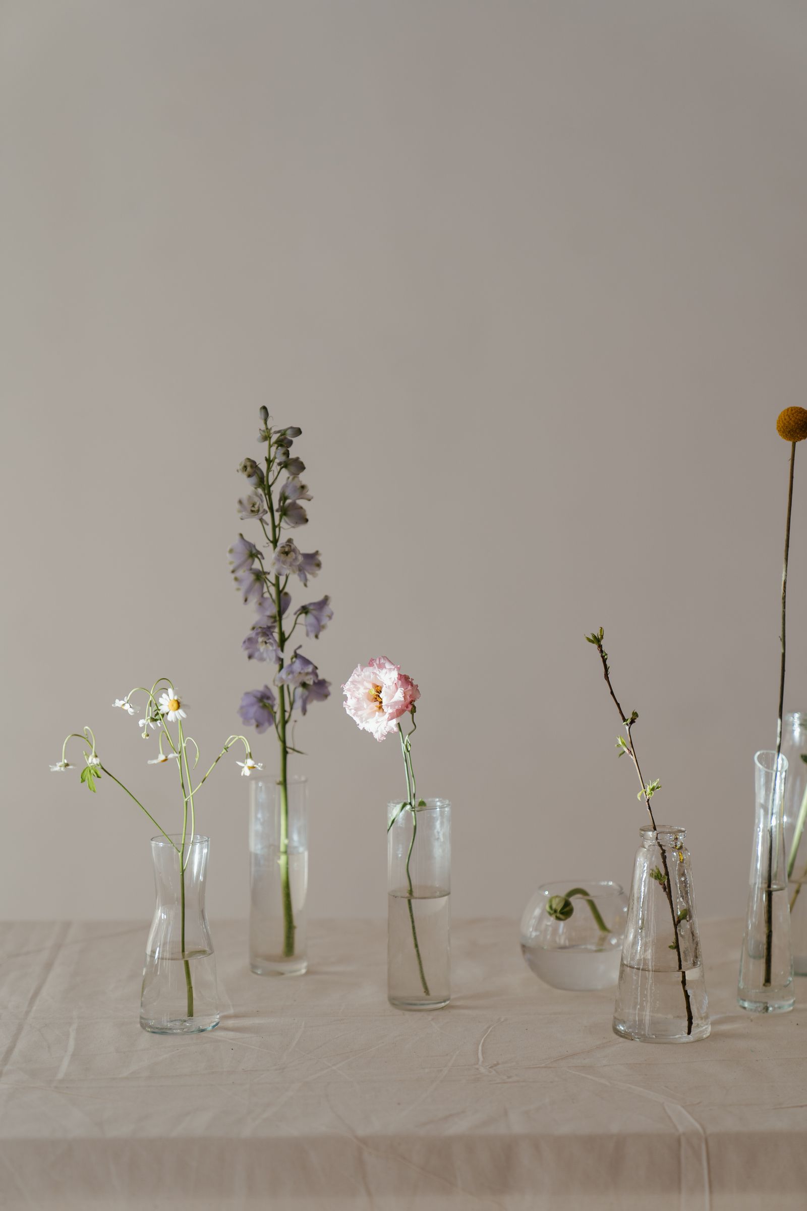 Sarah & James — Wedding Celebration